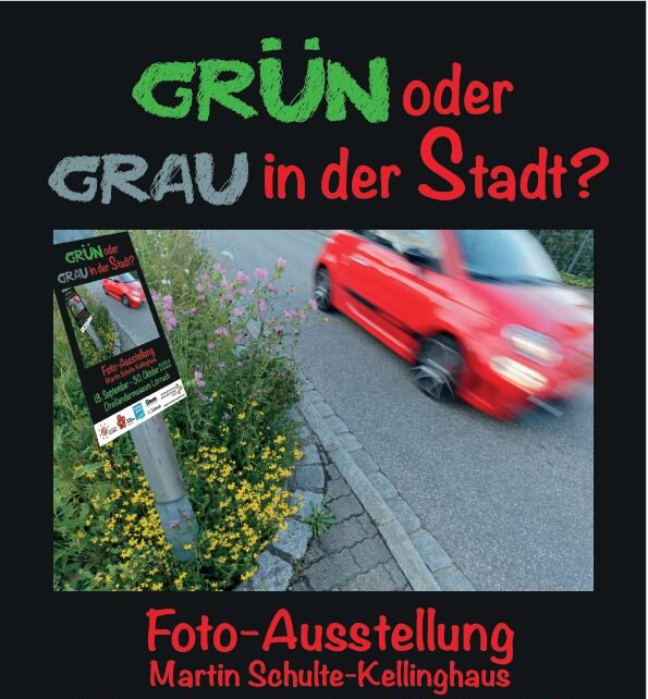Plakat Grün oder Grau